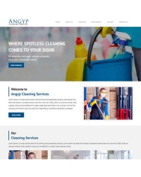 Angyp Cleaning Services