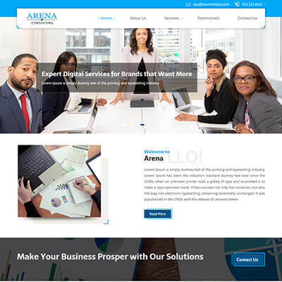 Arena Consulting