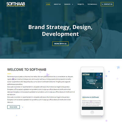 SoftHaab Software Consulting